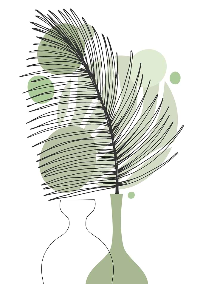 Palm