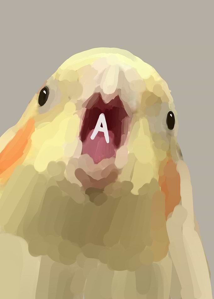 AAAA bird meme