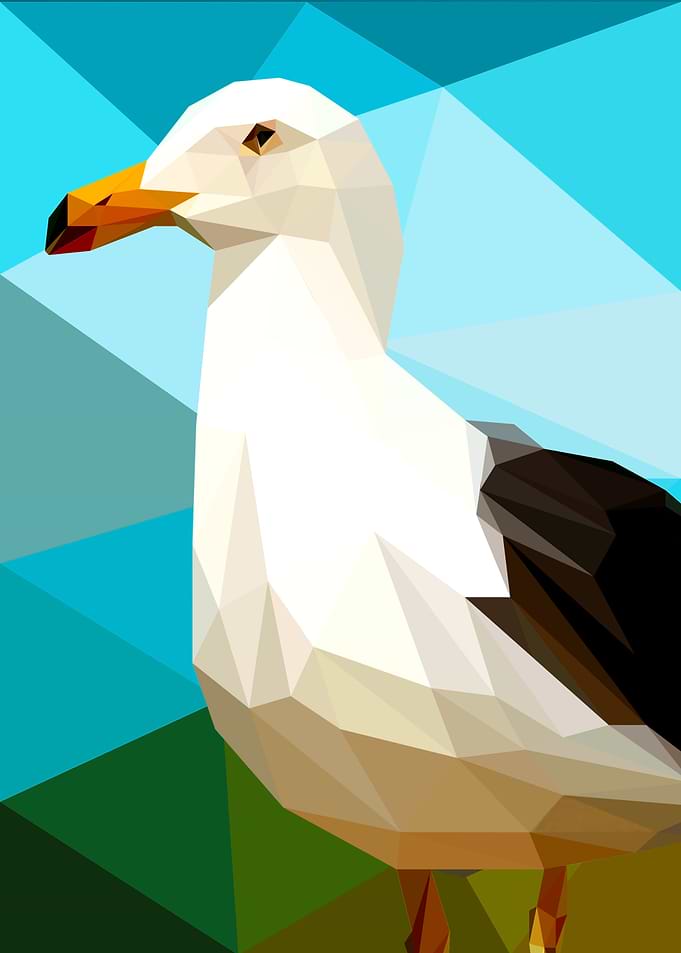 Seagull