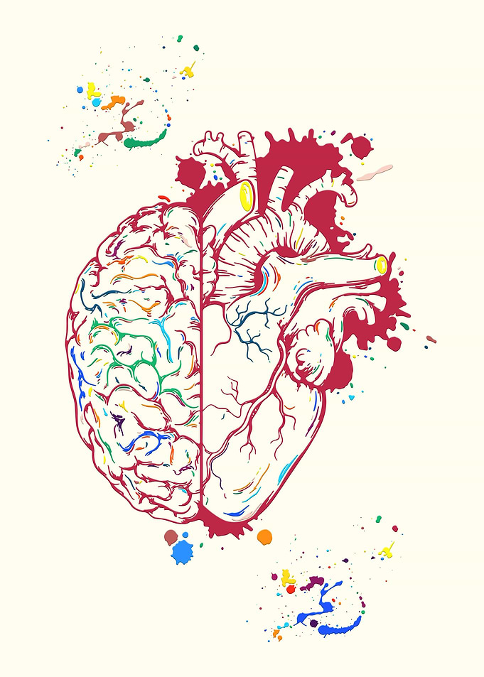 Heart And Brain Balance