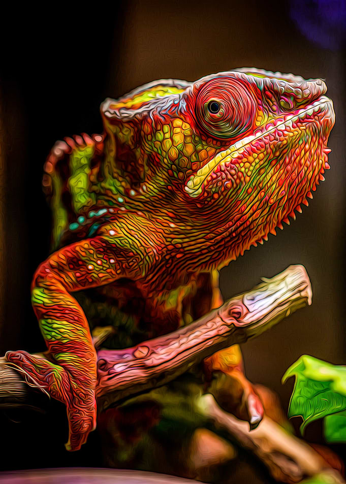 Chameleon