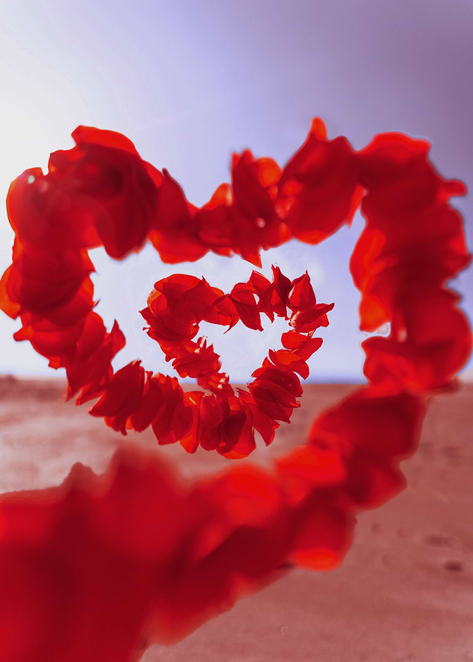 VALENTINE FLOWER