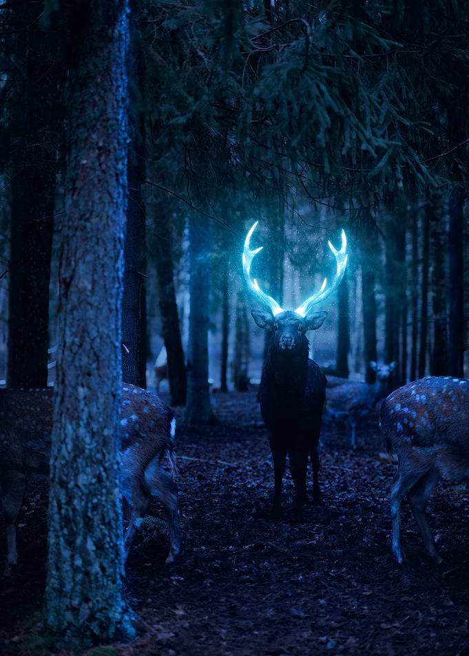 Glowing Deer Antlers