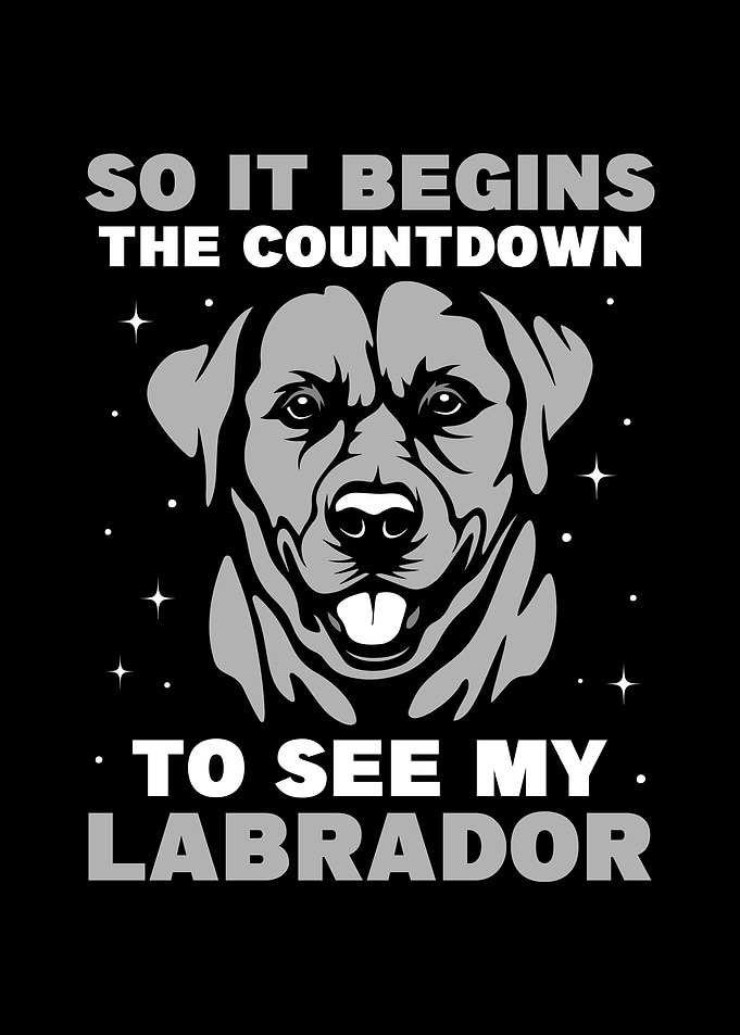 Labrador