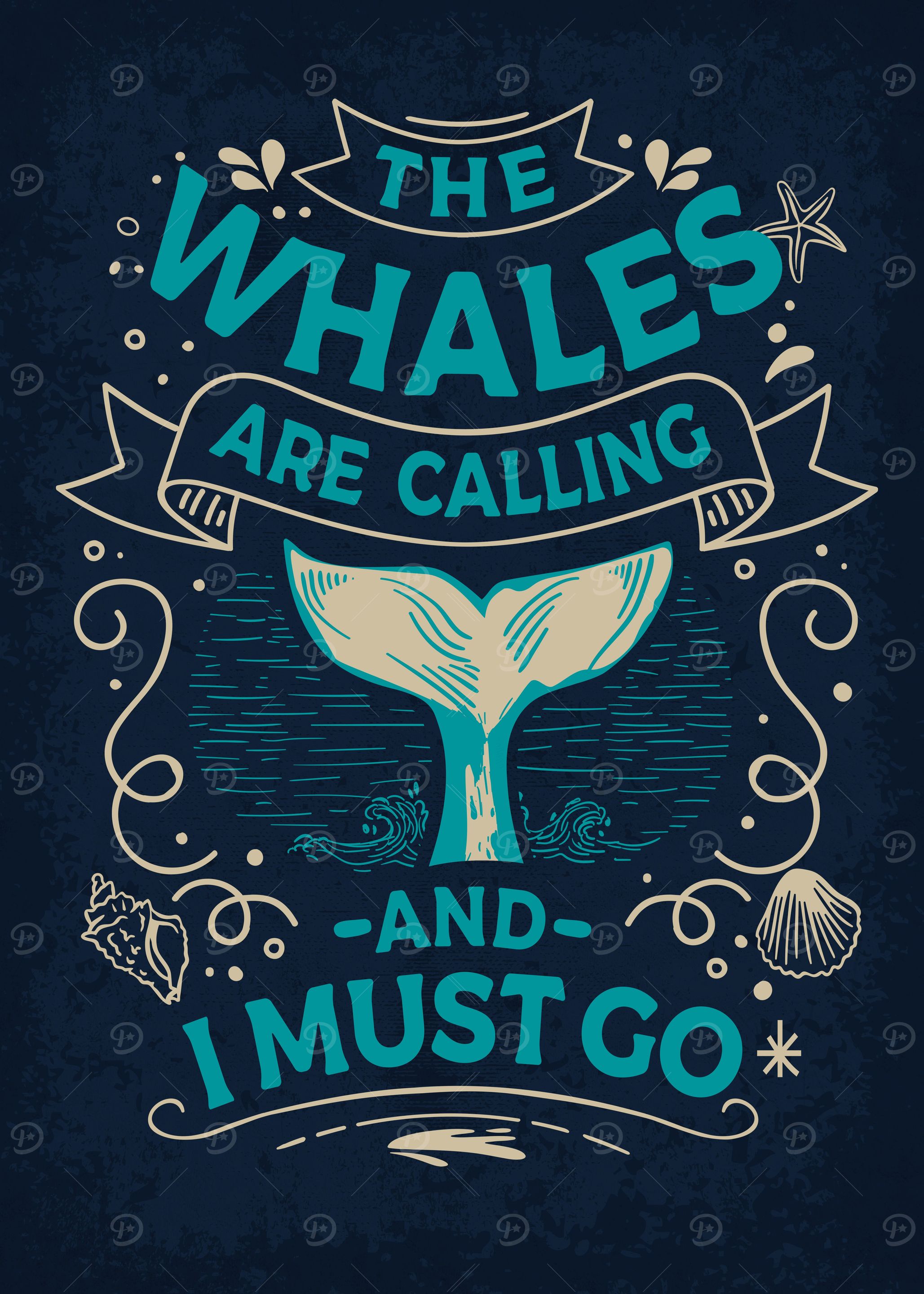 Funny Whale Watching Ocean