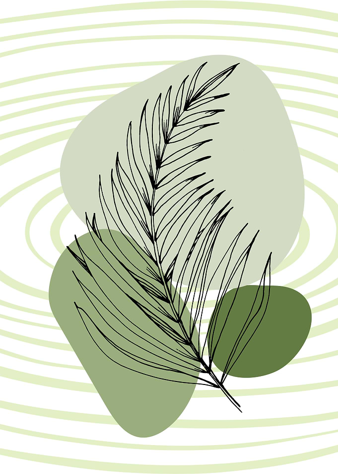 Tropical palm