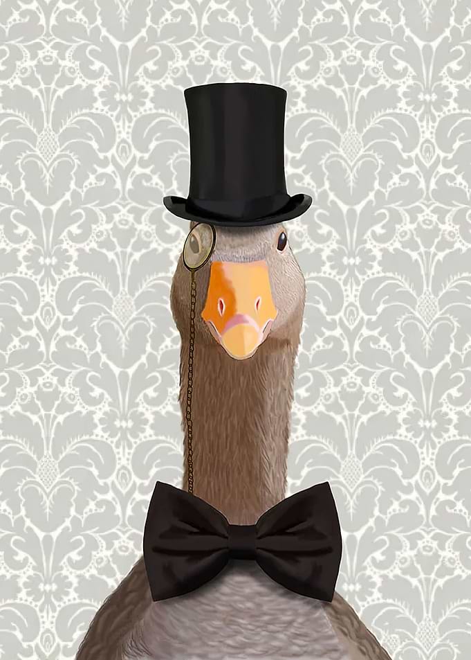 Funny Duck