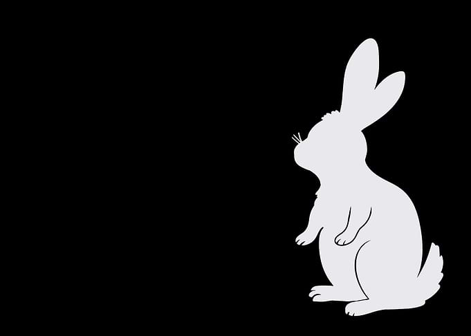 cute rabbit poster