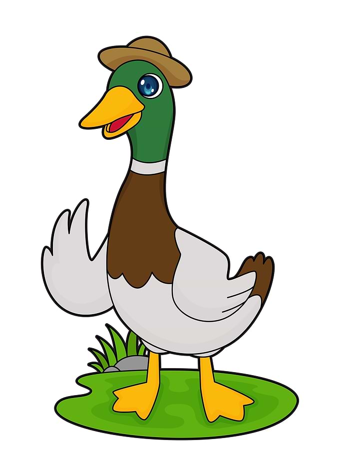 Duck Hat