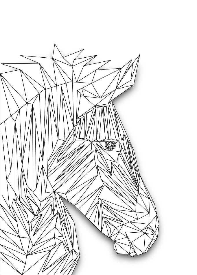 Zebra Wireframe Lowpoly