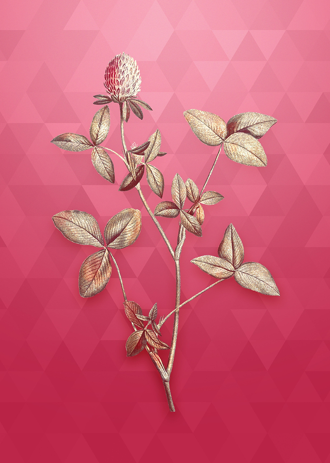 Vintage Gold Pink Clover
