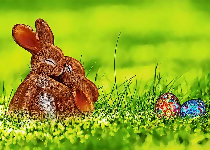 cute rabbit poster