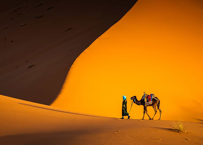 Man and camel Morocco