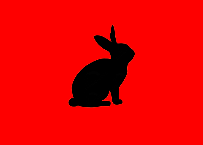 cute rabbit poster