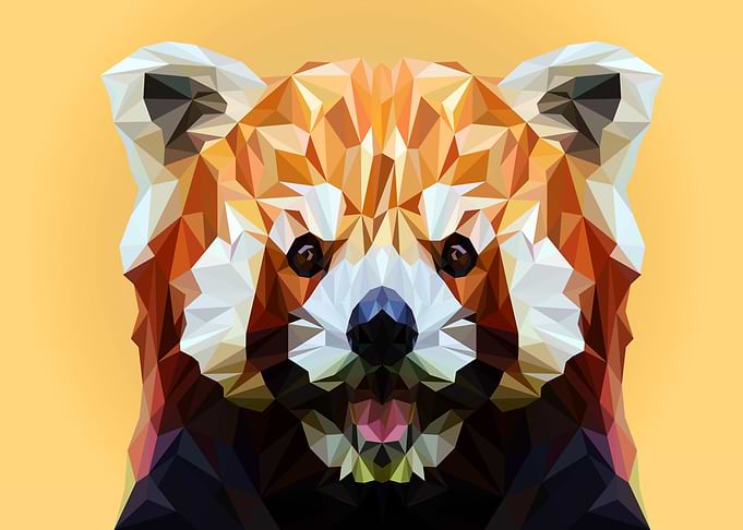 Red Panda