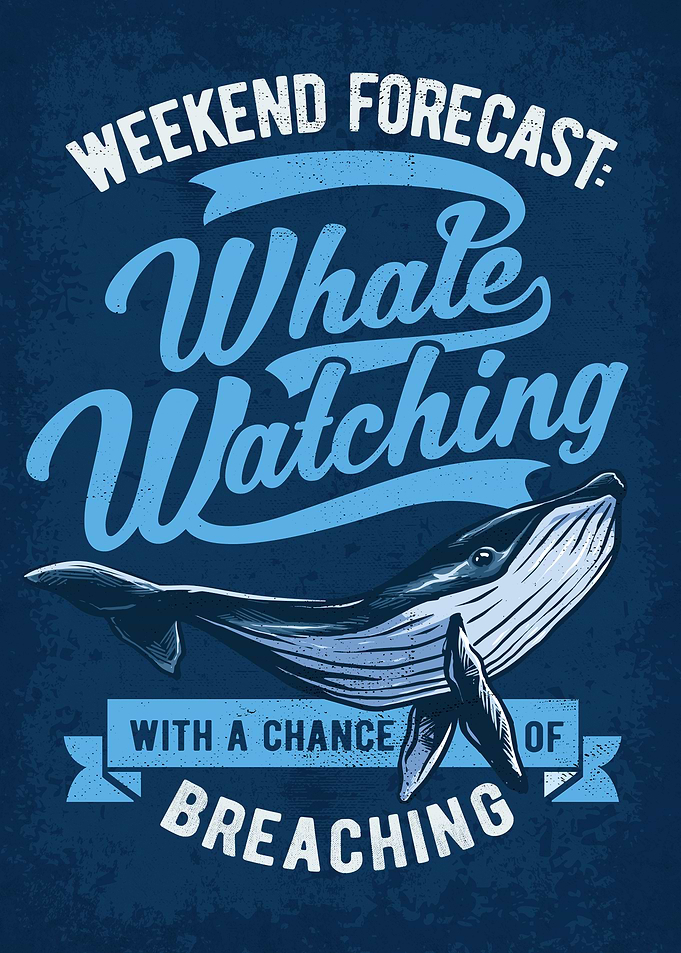 Whale Watching Tours