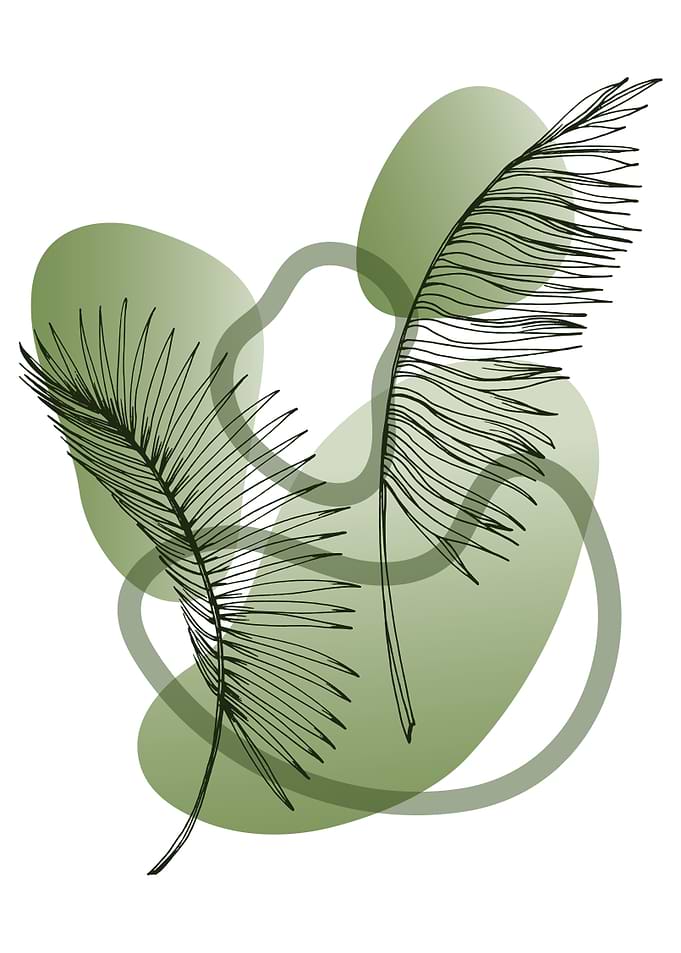 Tropical palm