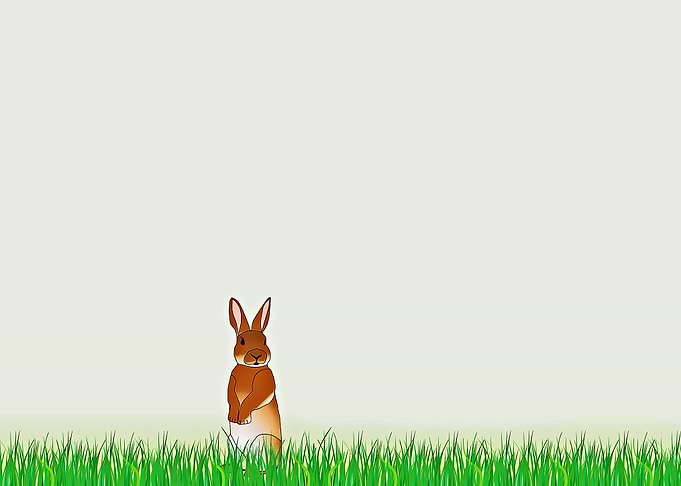 cute rabbit poster