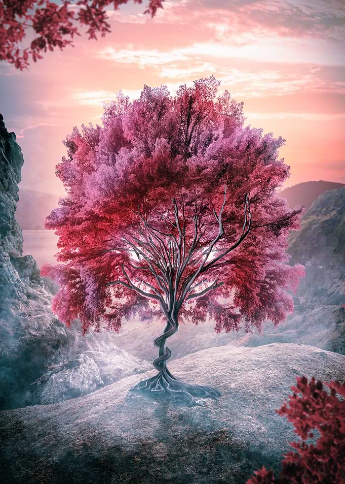 The Tree