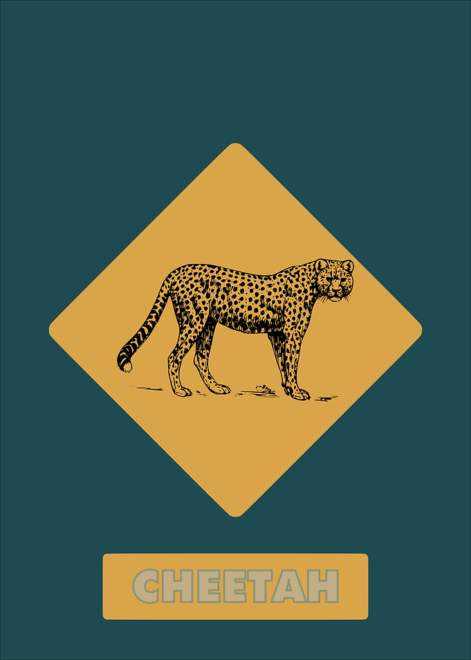 Cheetah