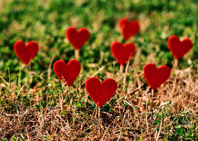 Mini Heart Ornament