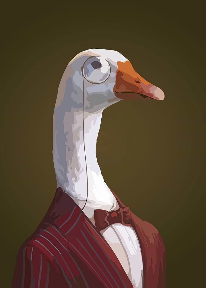 Funny Duck