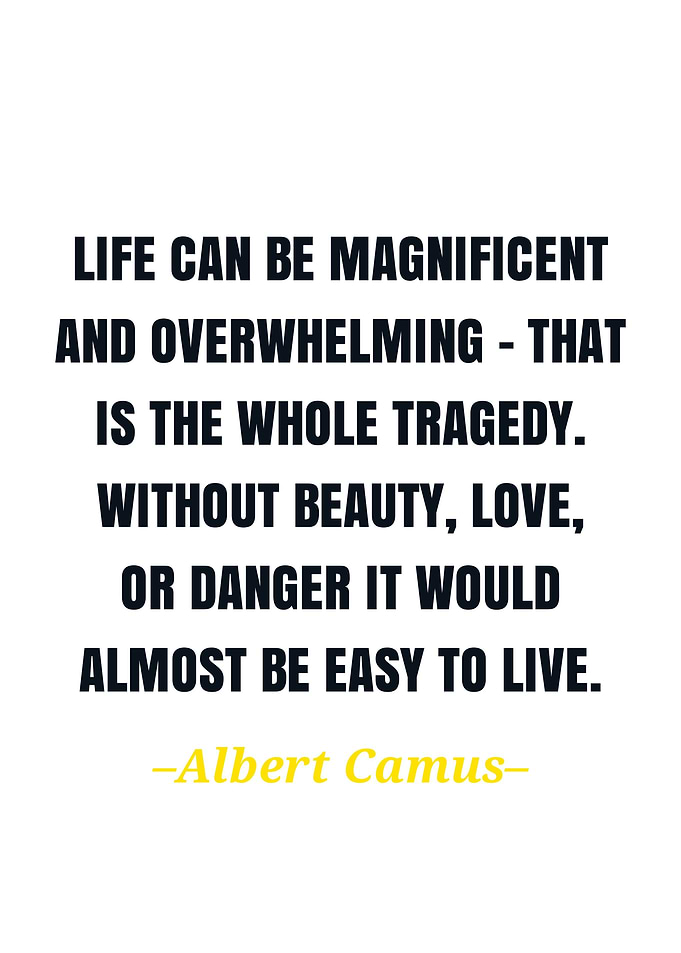 Albert camus quote