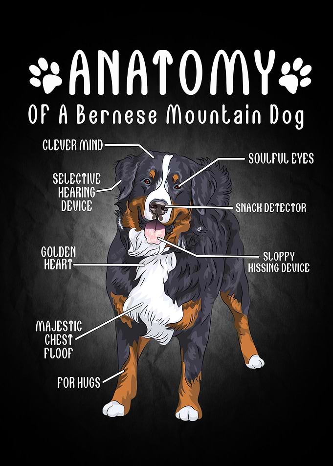 Dog Animal