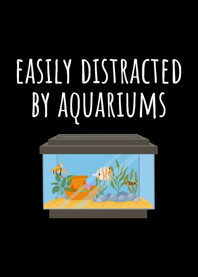 Easily Distracted by