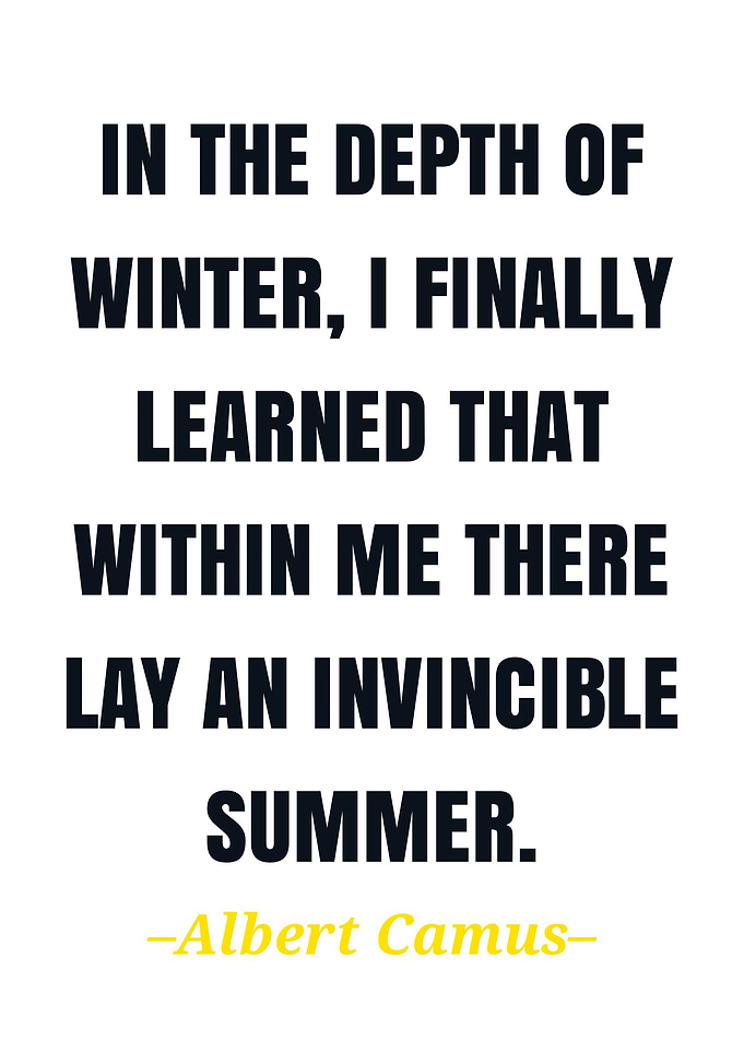 Albert camus quote