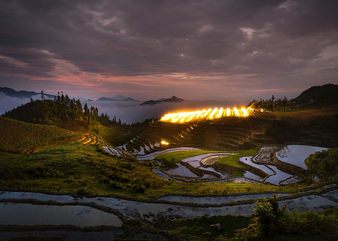 Beautiful Landscape