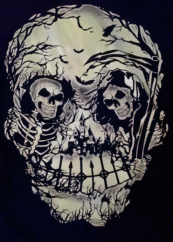 Optical Illusion Skull