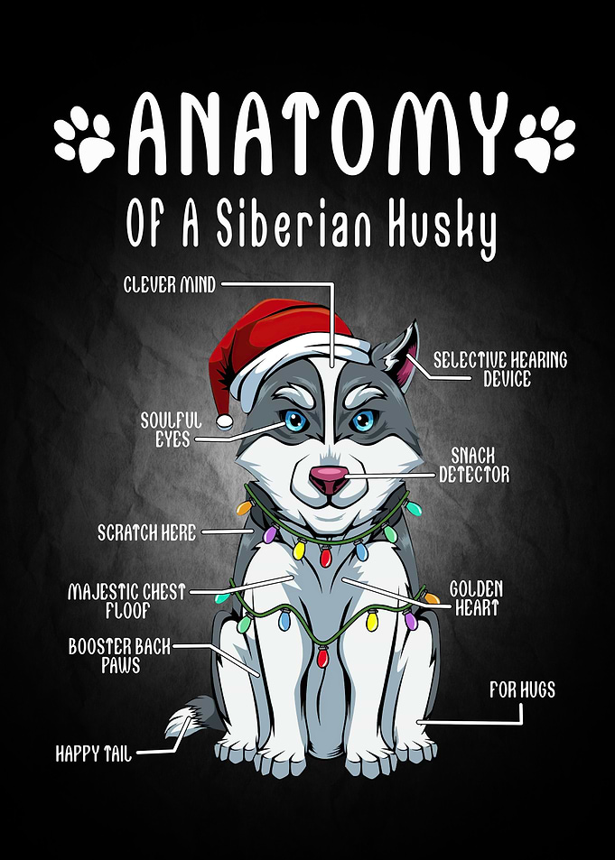Dog Animal