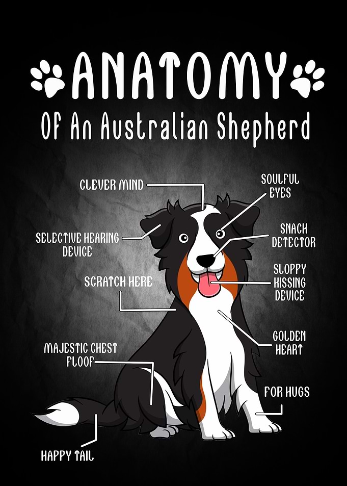 Dog Animal