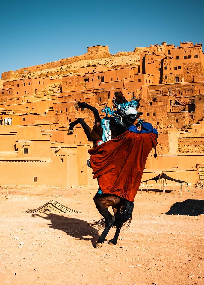 Man rearing horse Morocco