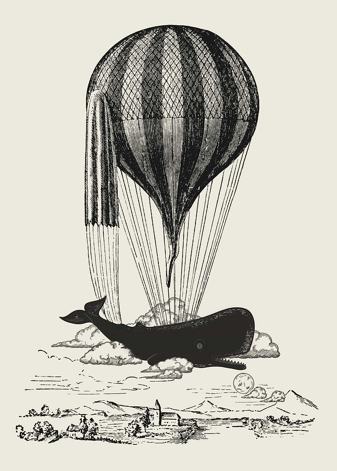 Vintage Whale Lover