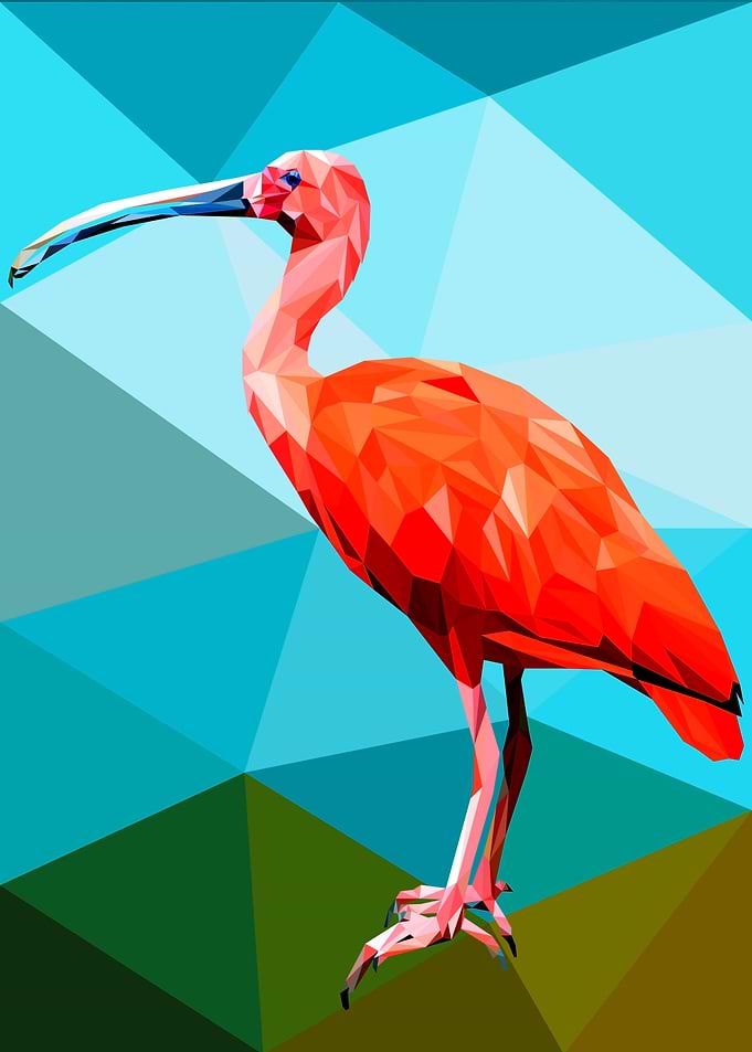 Scarlet Ibis