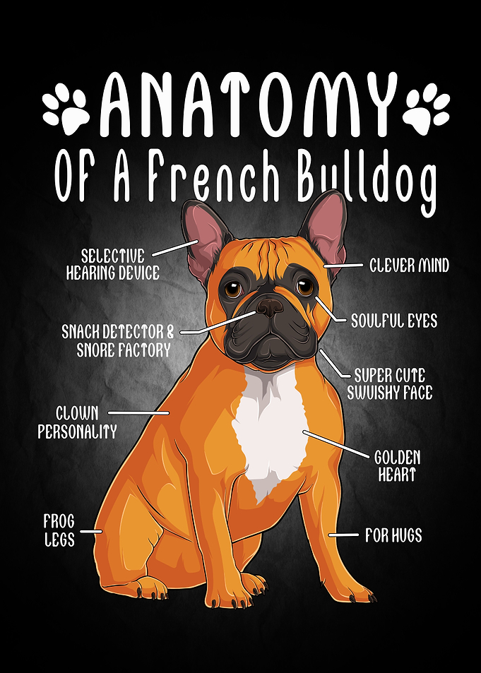 Dog Animal