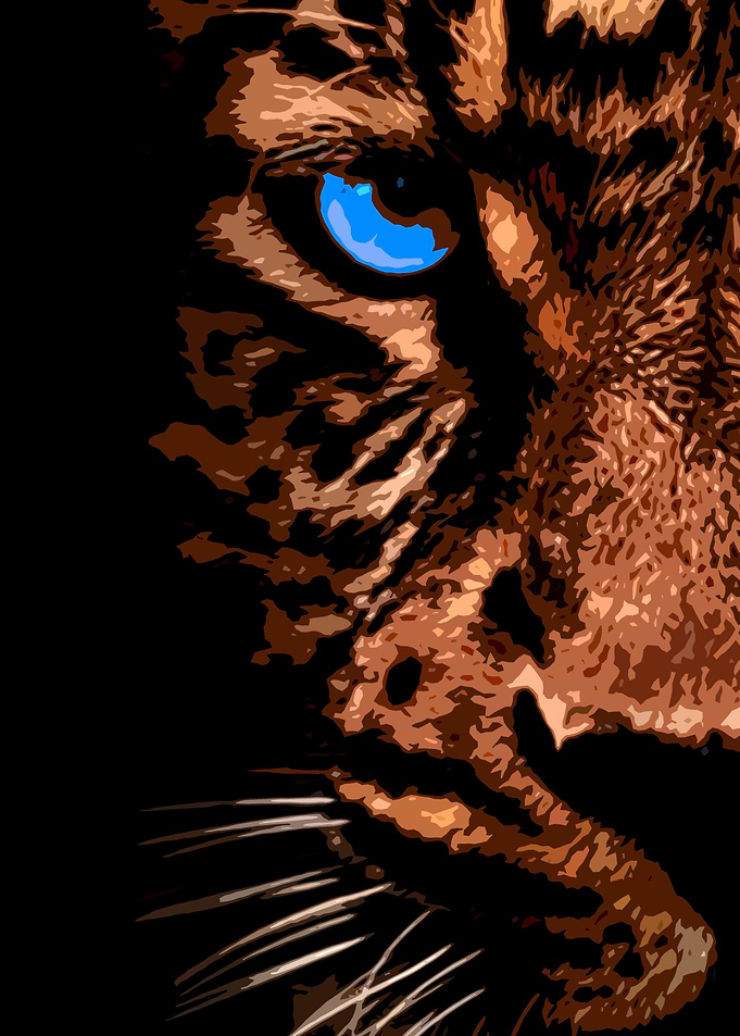 tiger face