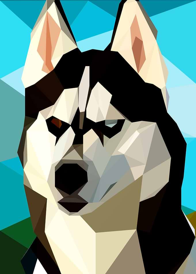 Husky