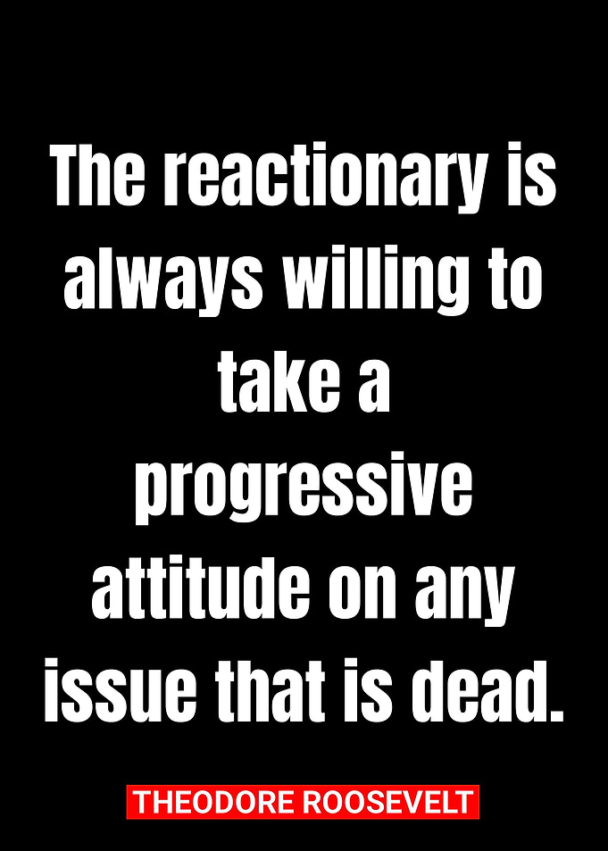 theodore roosevelt