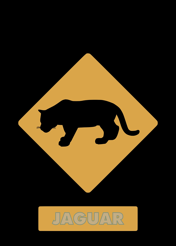 Jaguar
