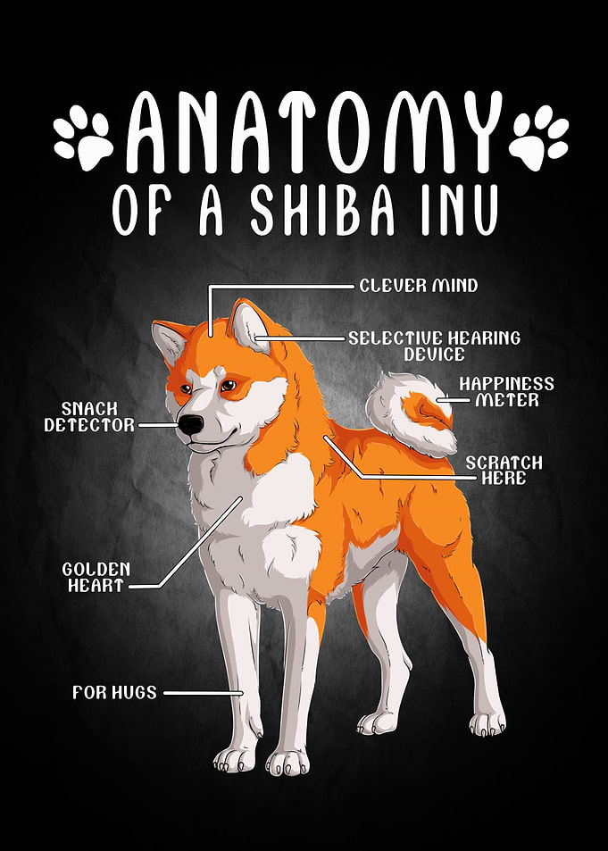Dog Animal