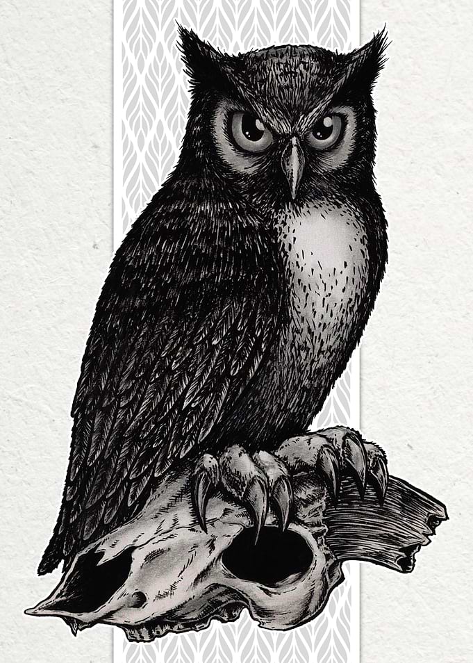 Eastern Screech Owl