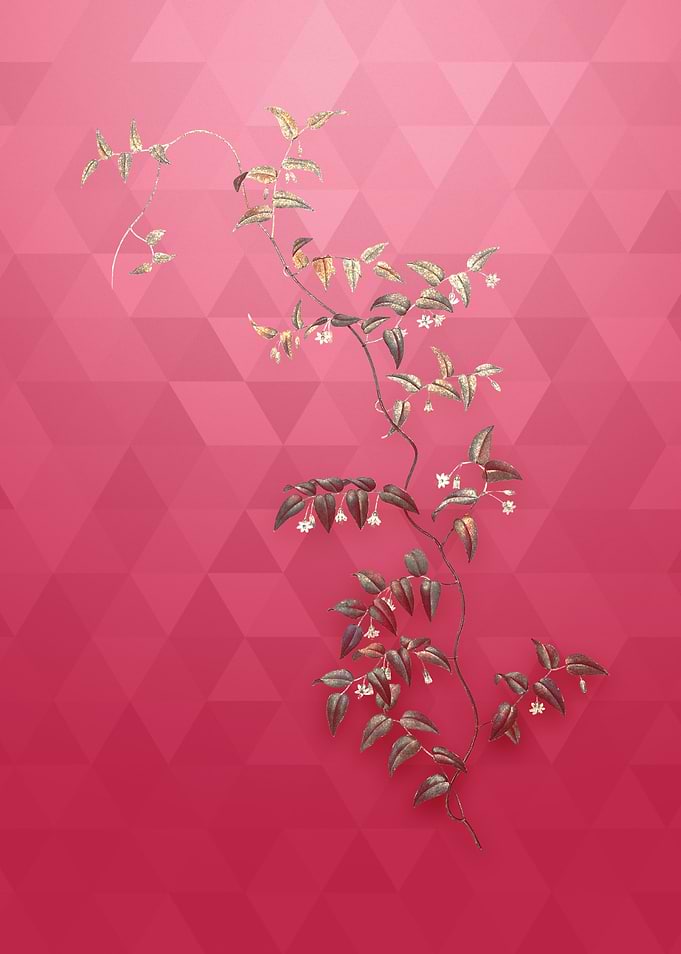 Vintage Bridal Creeper