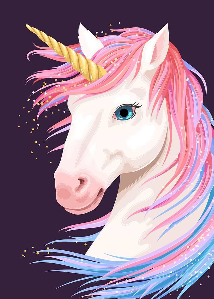 cute unicorn