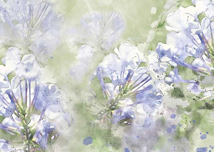Dreamslike blue flowers