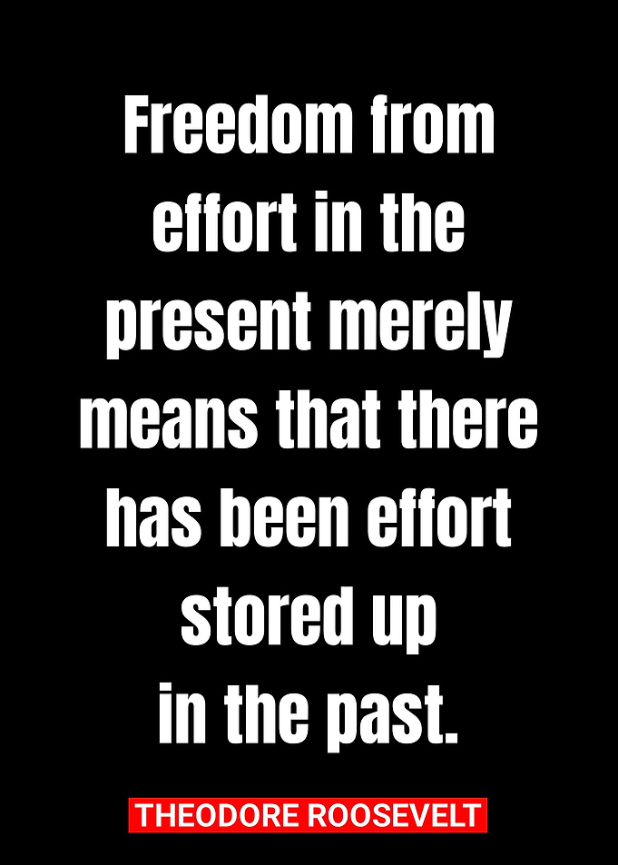 theodore roosevelt quotes