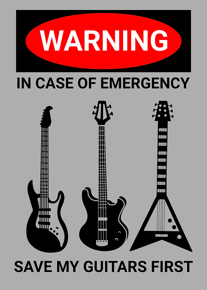 EMERGENCY GUITARS FIRST