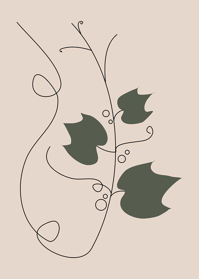 Grape Leave